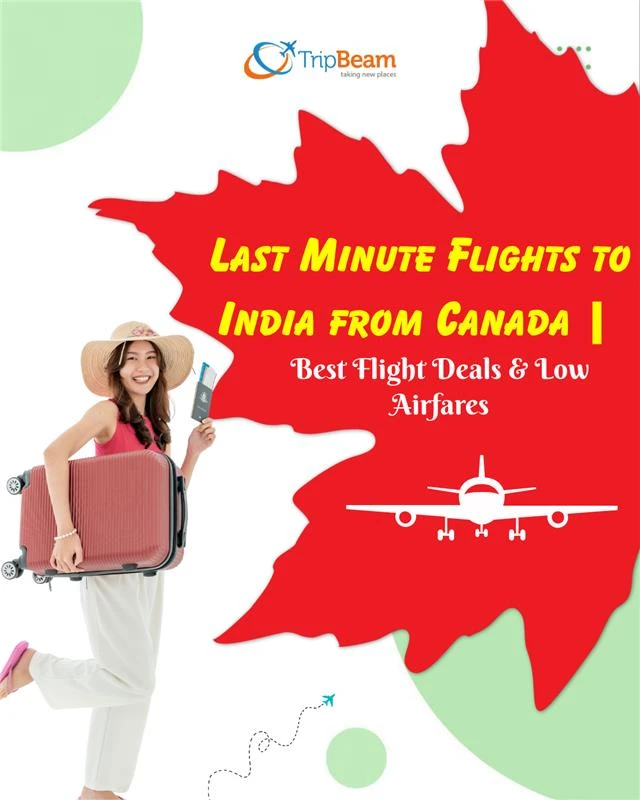 Canada to India Flight Ticket Prices Explained: Routes, Cabins, and Smart Booking Insights