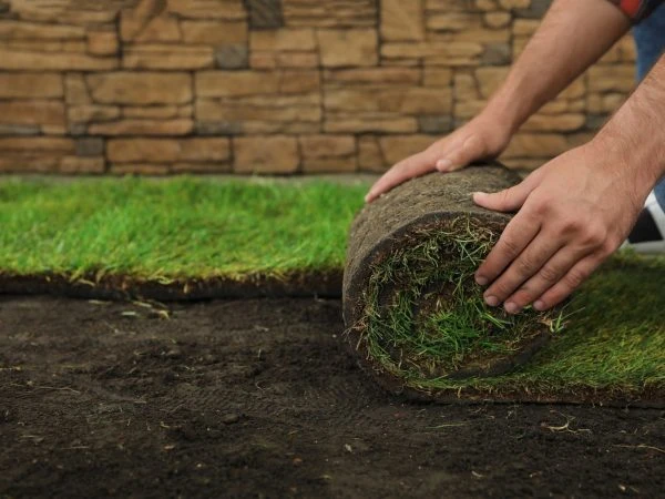 Turn Your Landscape Green Overnight With Sod Installation