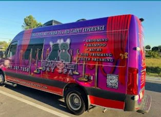 A Neighborhood Guide to Finding Caring, Convenient Pet Grooming That Fits Your Routine