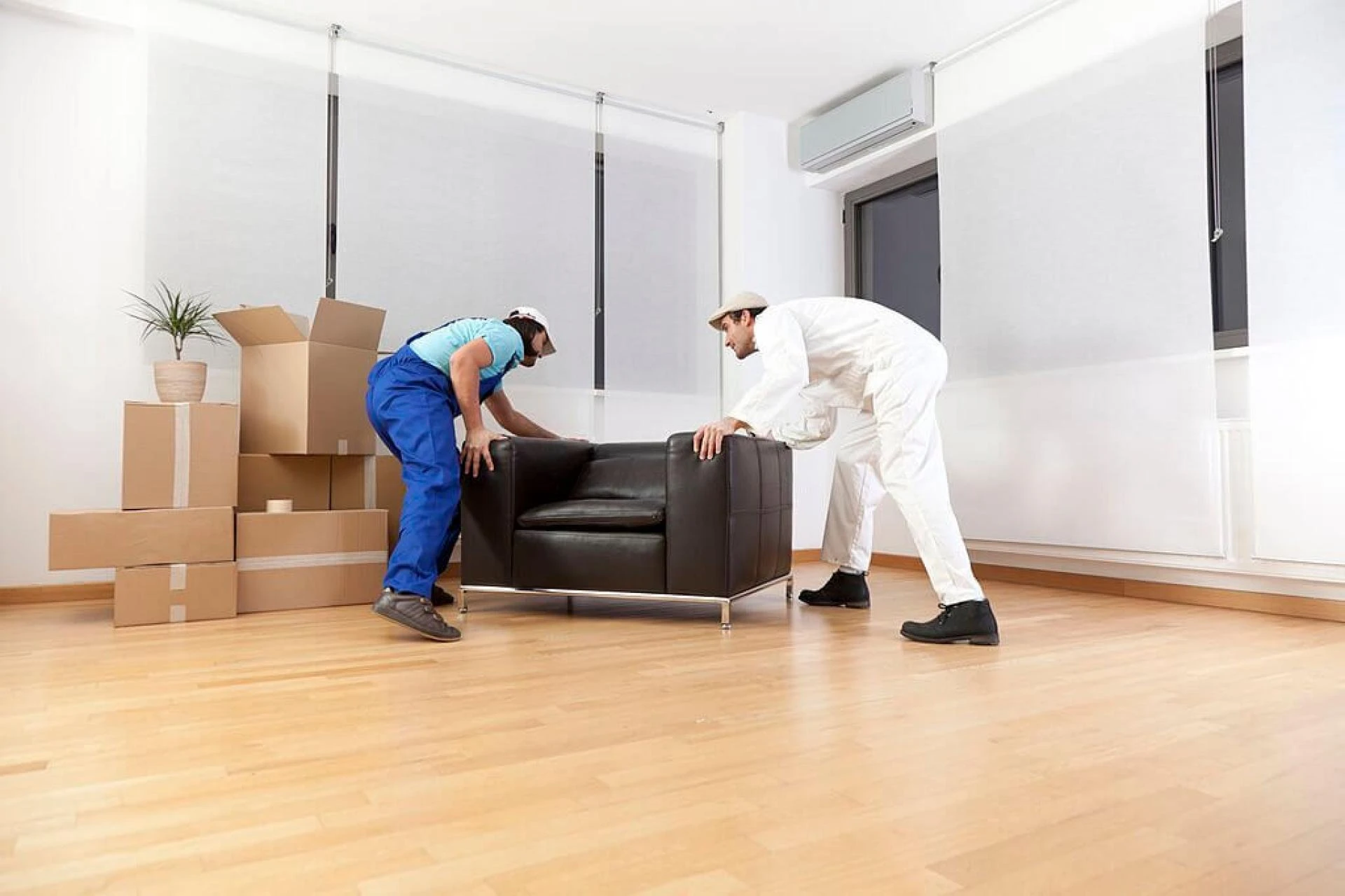 Man With Van Hillcrest: Your Go-To Solution for Furniture & Office Moving Services