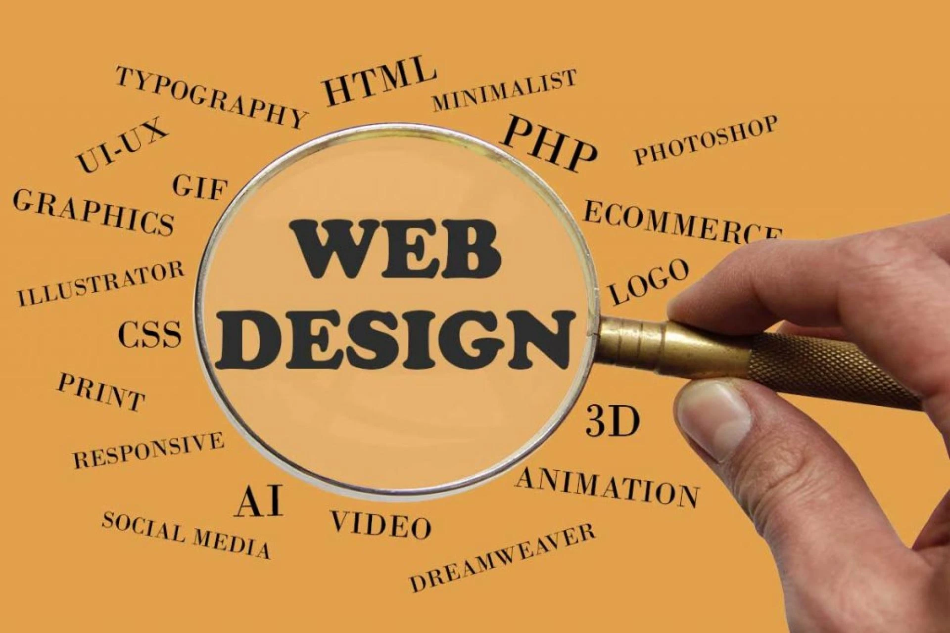 Looking for a Reliable Website Design Company in Mumbai? Here’s What You Should Know
