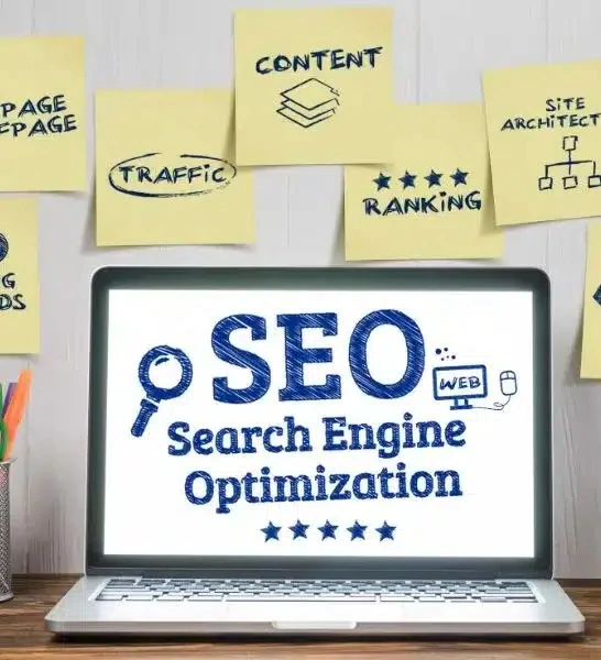 Top Digital Marketing Company and SEO Agency in Milton | DigiOptimizer
