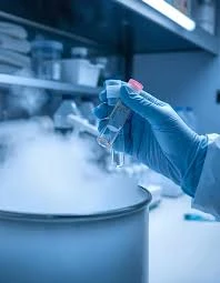 IVF with Donor Gametes After Multiple Failed Cycles: A Hopeful Path Forward