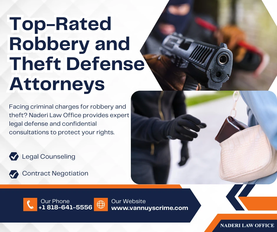 What is Robbery and Theft Defense?