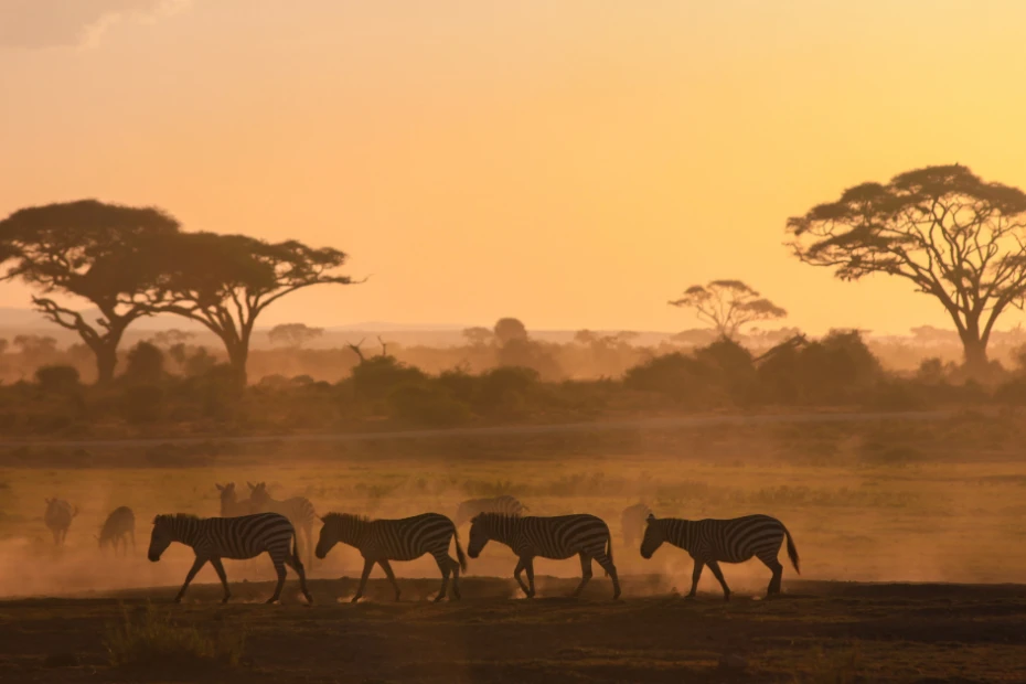 Experiencing Africa While Keeping Kosher: What You Need to Know