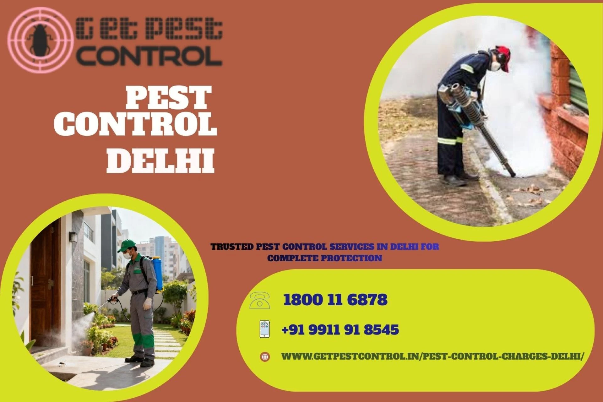 Trusted Pest Control Services in Delhi for Complete Protection