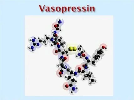 Vasopressin Market Size 2021 Industry Share, CAGR of 1.4%  | Research Informatic