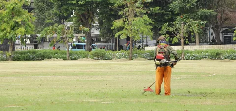 How to Trim Lawn in Canada: Equipment & Seasonal Guide