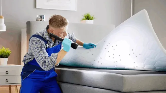 Comprehensive Pest Control Services for a Safe, Pest-Free Home