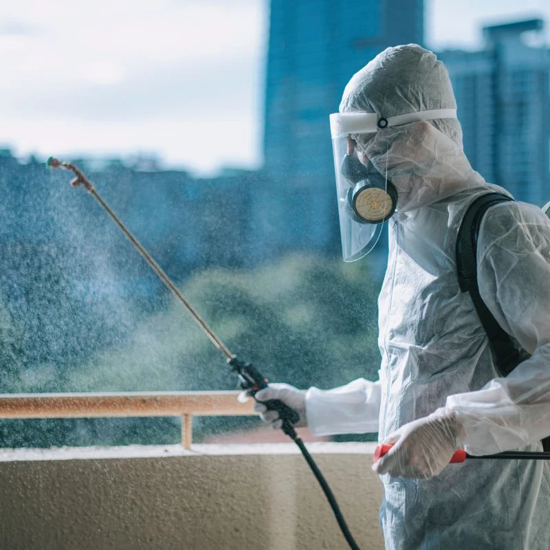 Top Benefits of Hiring the Best Pest Control Services in Gurgaon