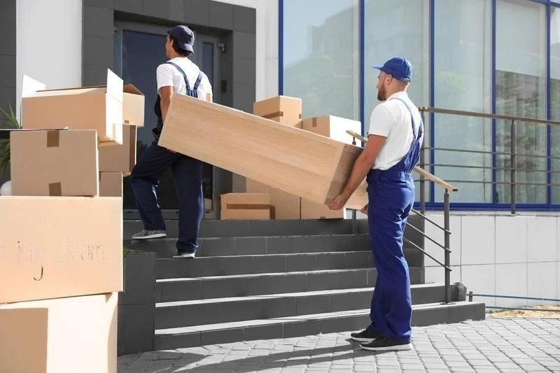 Moving with Pets: Tips for a Pet-Friendly Move in Sydney