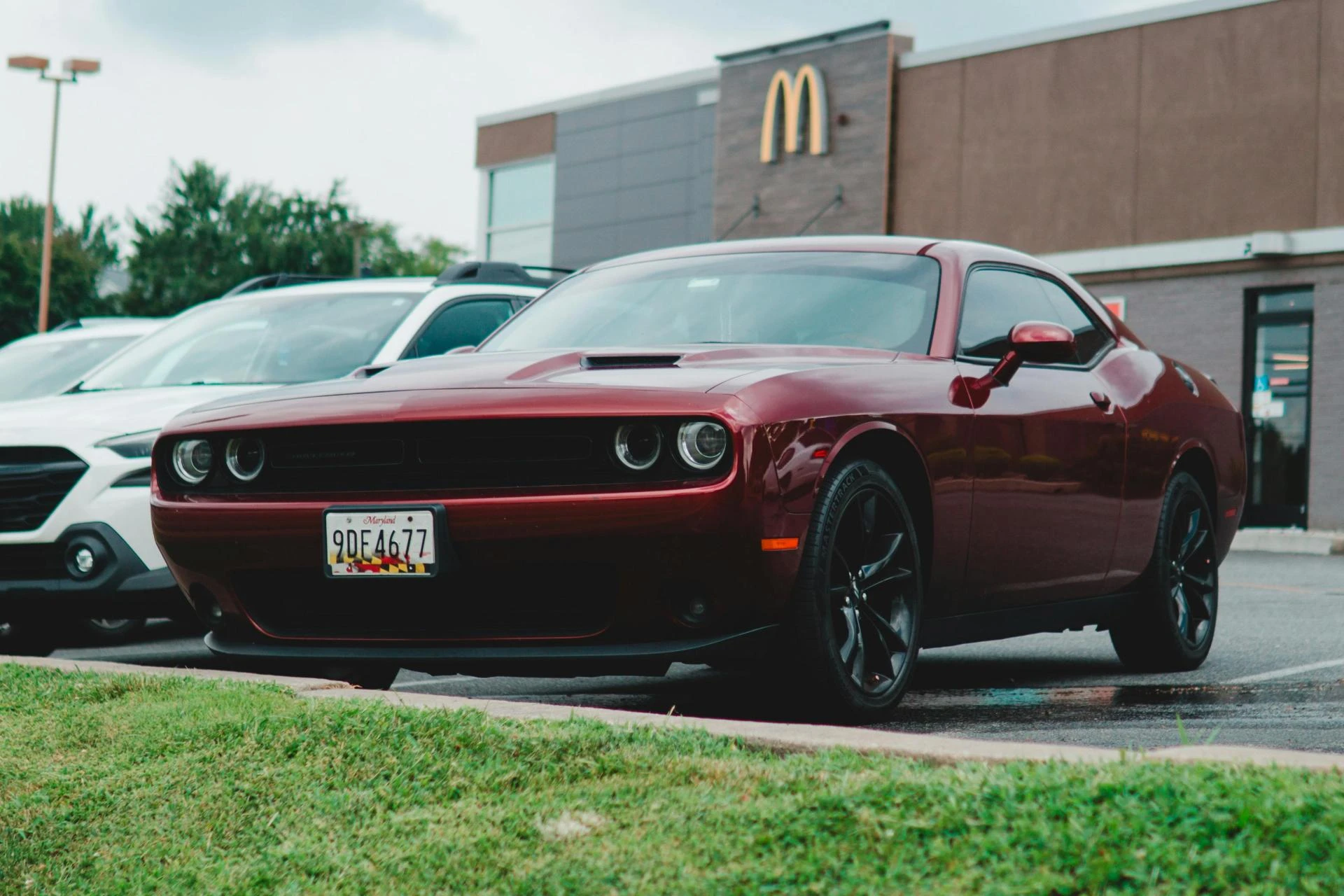 Why Expat Buyers in the GCC Prefer Used Cars Over New Ones