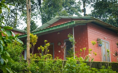 Experience Nature at Yedamakky Plantations – A Perfect Coffee Plantation Homestay in Coorg