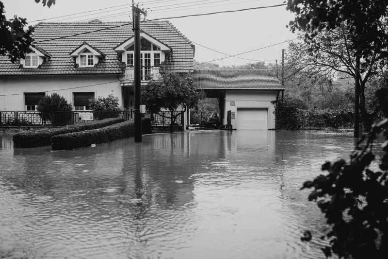 Spot Hidden Water Damage Before It’s Too Late