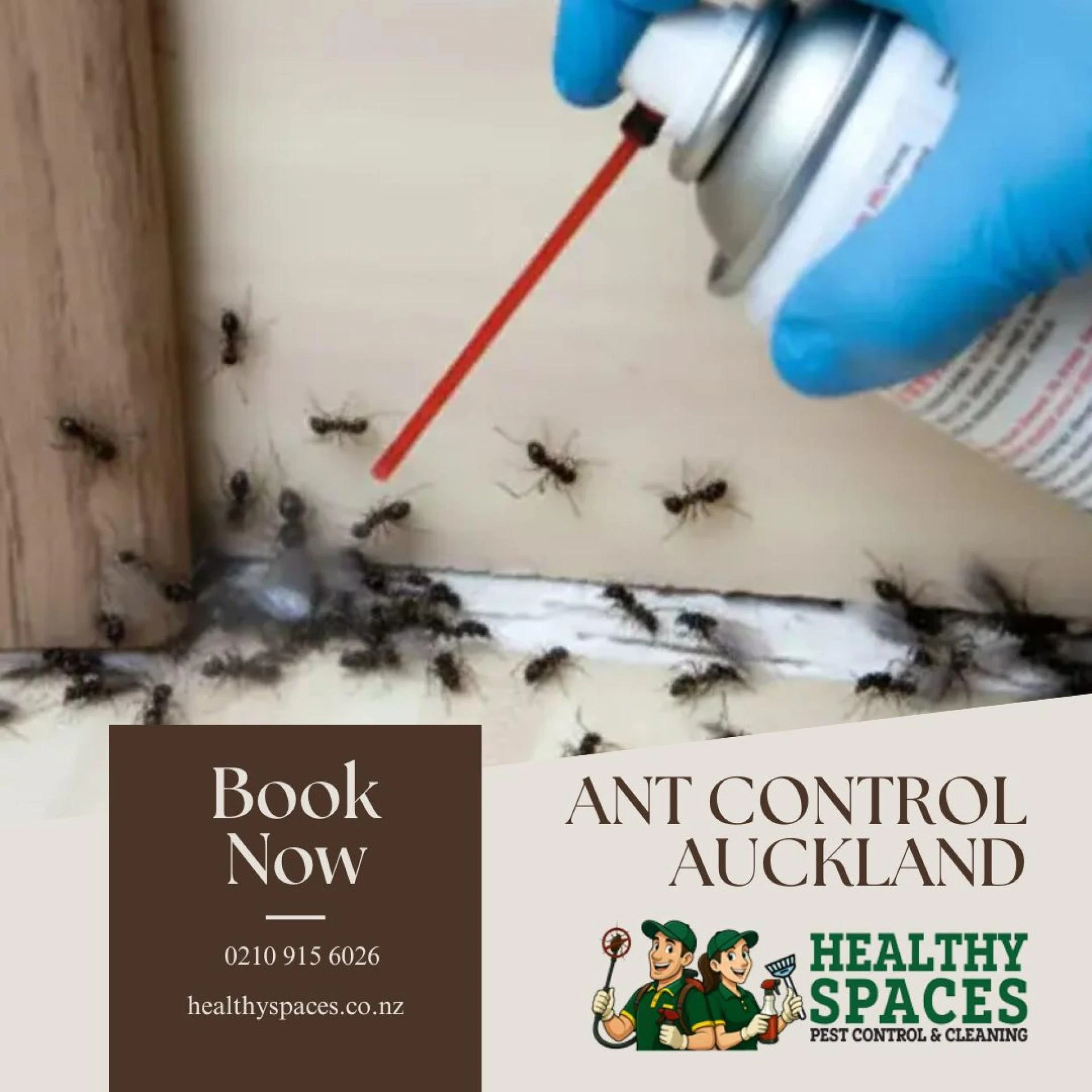 Why Ant Control Auckland Is Essential for Homes and Businesses in New Zealand