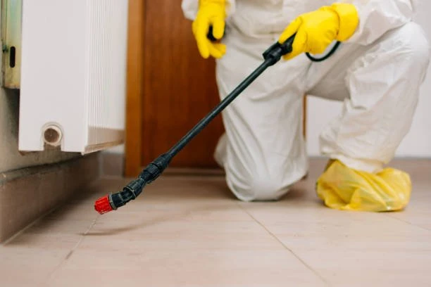 Need Pest Control Near You? Why Timing Is More Important Than You Think