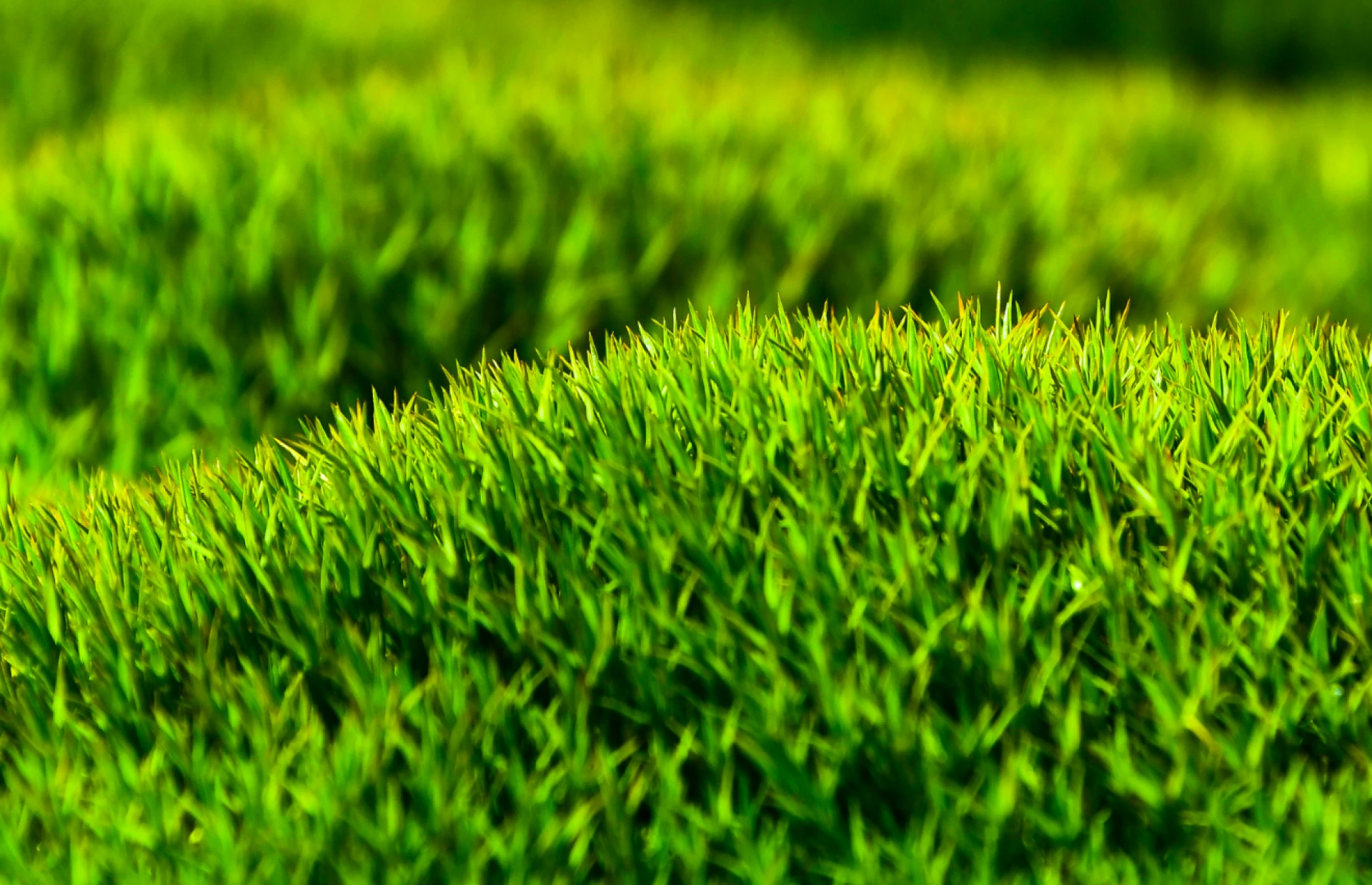Artificial Grass Installer Near Me: A Complete Guide to Local Services by Yate Artificial Grass