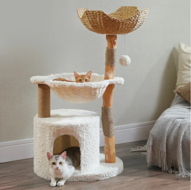 The Ultimate Guide to Modern Cat Furniture: What to Buy and Why