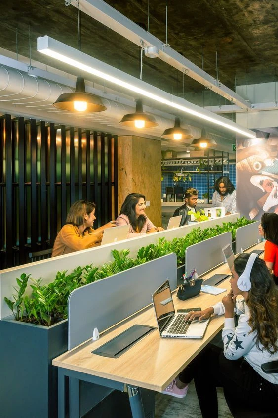 Why a Coworking Space in Jayanagar Is Perfect for Modern Professionals