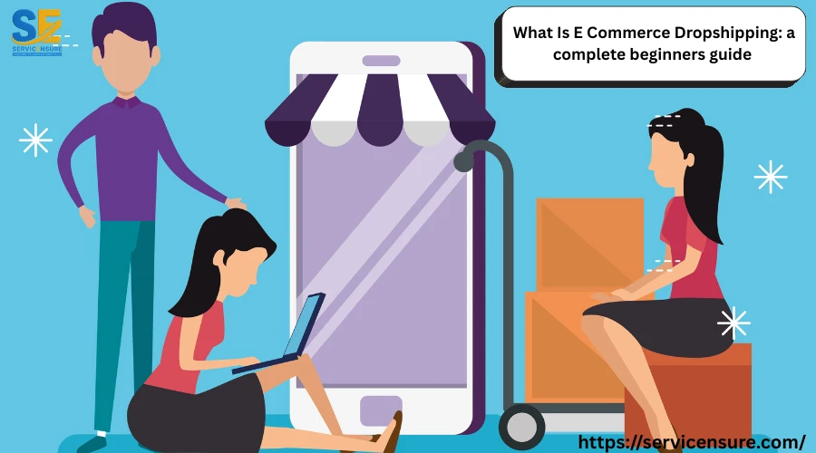 What Is E Commerce Dropshipping: a complete beginners guide