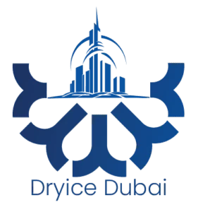 Dry Ice Supplier in Dubai for Cold Chain Logistics Companies