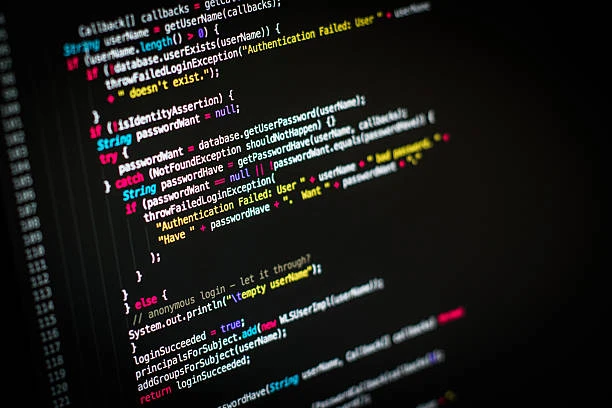 Why Custom Web Development is the Right Approach?