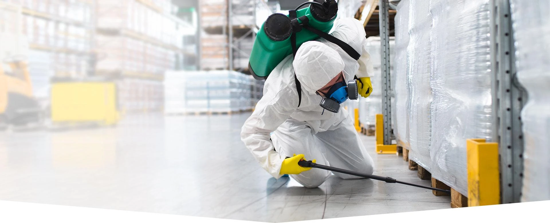 PHSLawn: Trusted Pest Management & Lawn Care in Melbourne FL