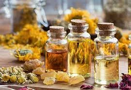 Natural Essential Oils: Quality, Purity, and Innovation in Modern Aroma Applications
