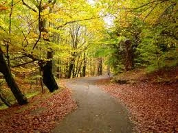 How a New Era of Discovery Is Taking Shape