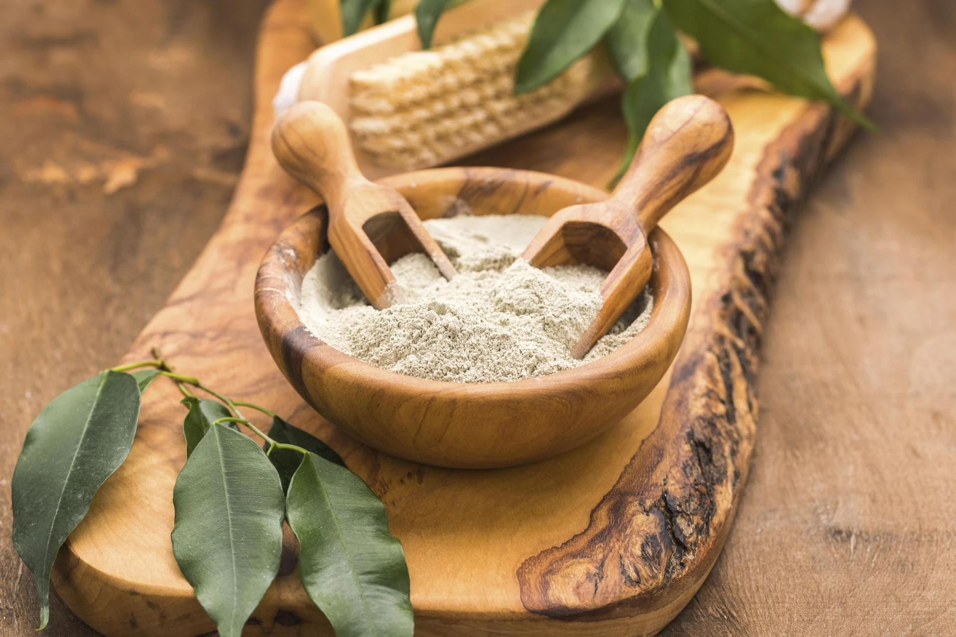 Rediscovering Ayurvedic Powders: Ancient Herbal Wisdom for Modern Holistic Living
