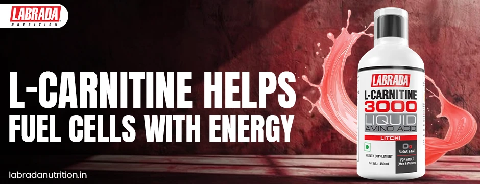 L-Carnitine Liquid Benefits: How It Supports Fitness Goals Alongside the Best Mass Gainers and Weight Gainer Supplements