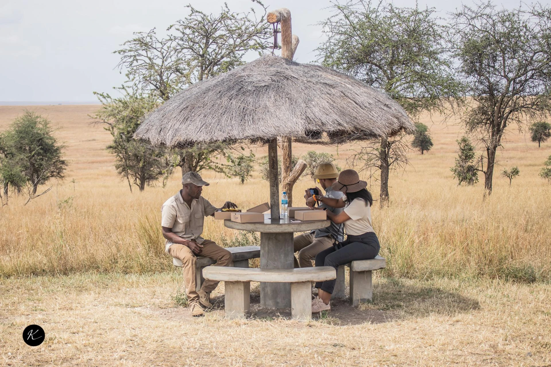 Kenya Tanzania Safari Packages for Wildlife Viewing and Safari Travel Planning