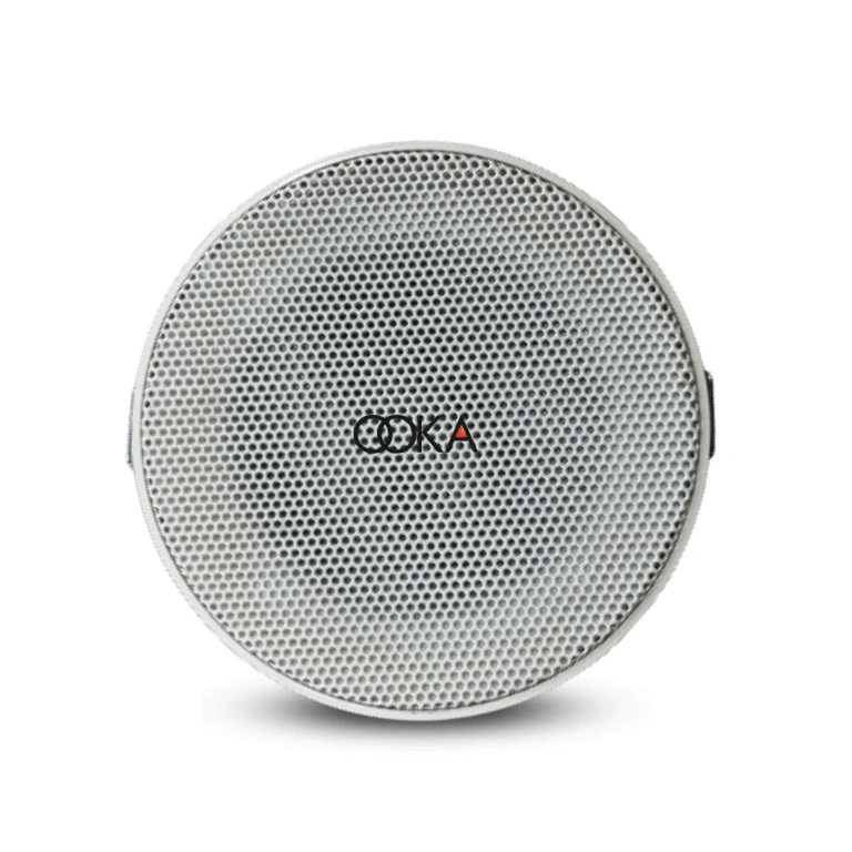 Best Bluetooth Ceiling Speakers India – Smart Audio Solutions by Ooka Audio
