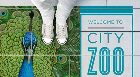 Types of Window Signage for Business Near Me: Vinyl, Perforated, Frosted & More