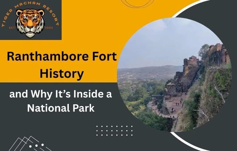 Ranthambore Fort History and Why It’s Inside a National Park
