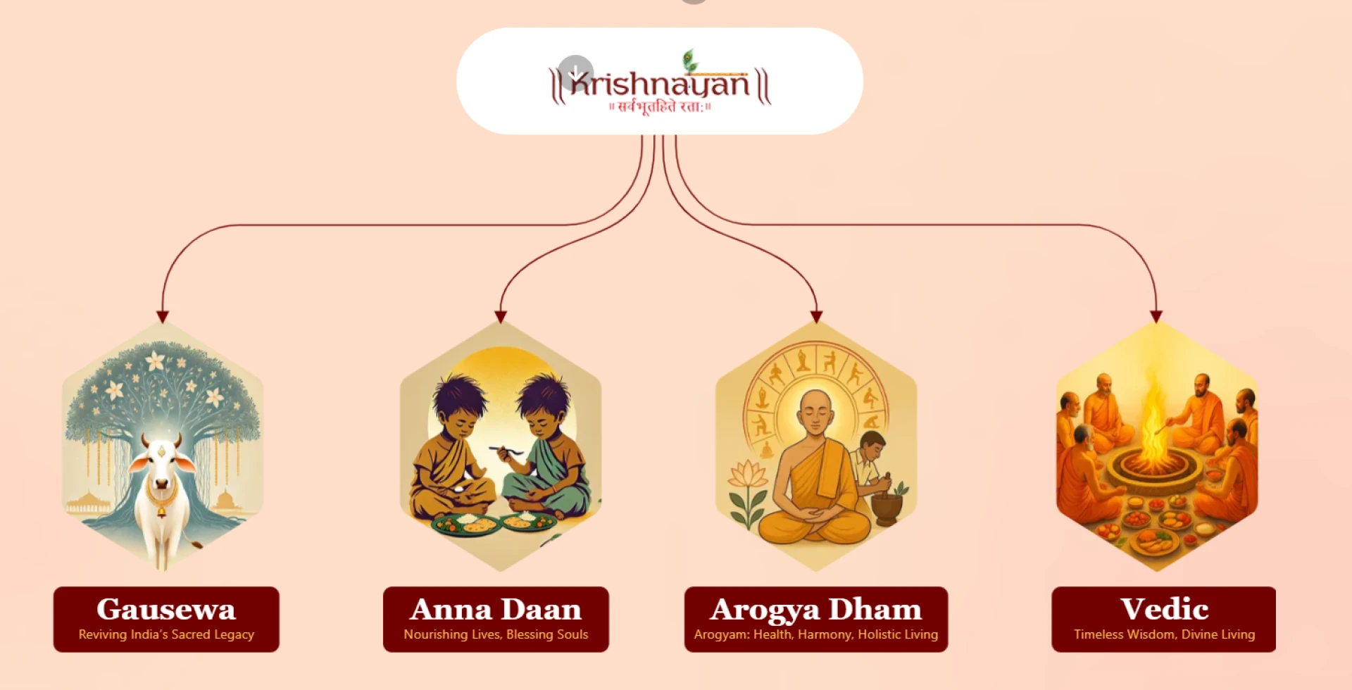 Krishnayan: A Sacred Journey of Seva, Compassion and Dharma