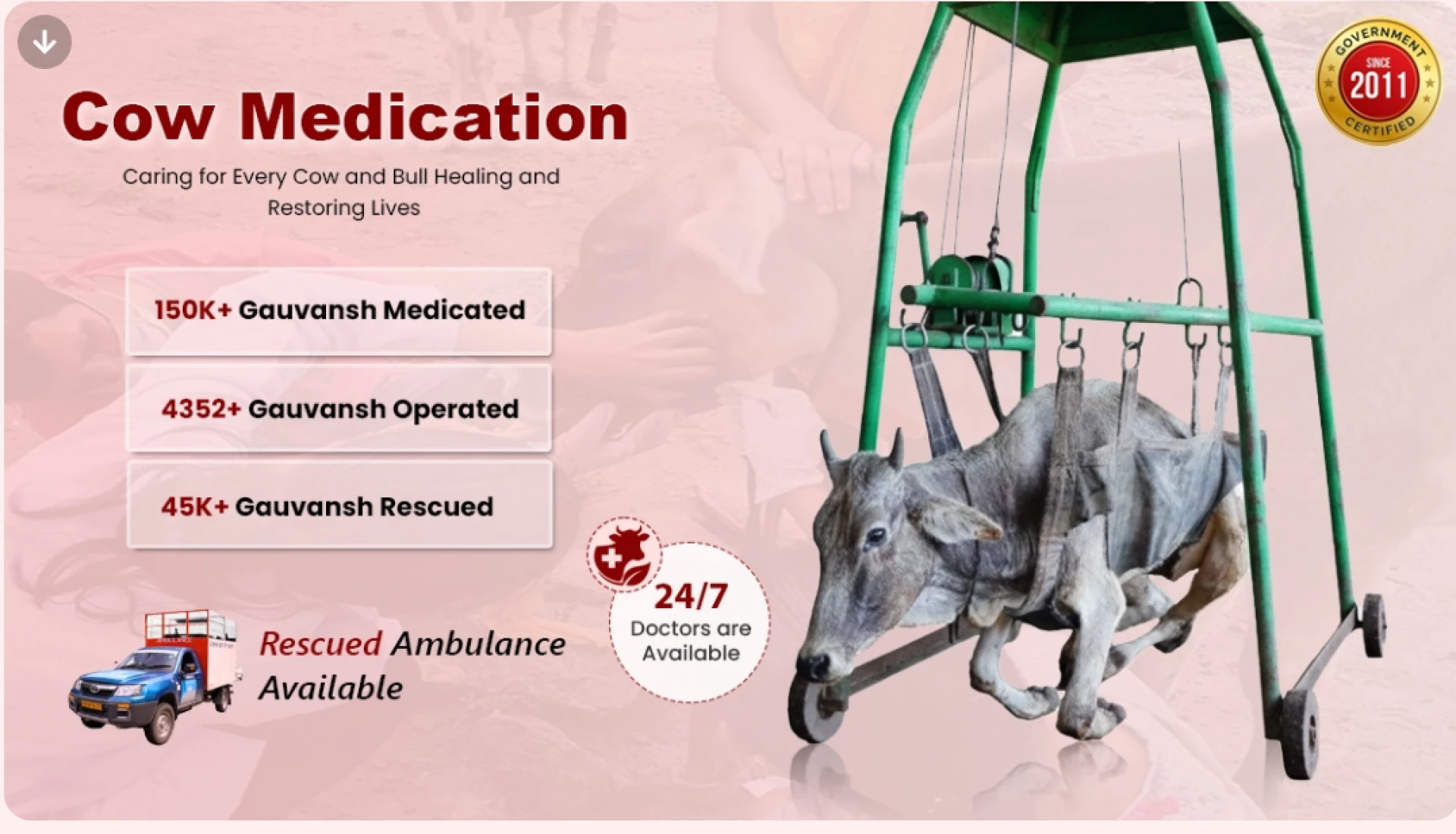 Krishnayan Medical Help for Cows — Lifeline for Injured and Sick Gauvansh