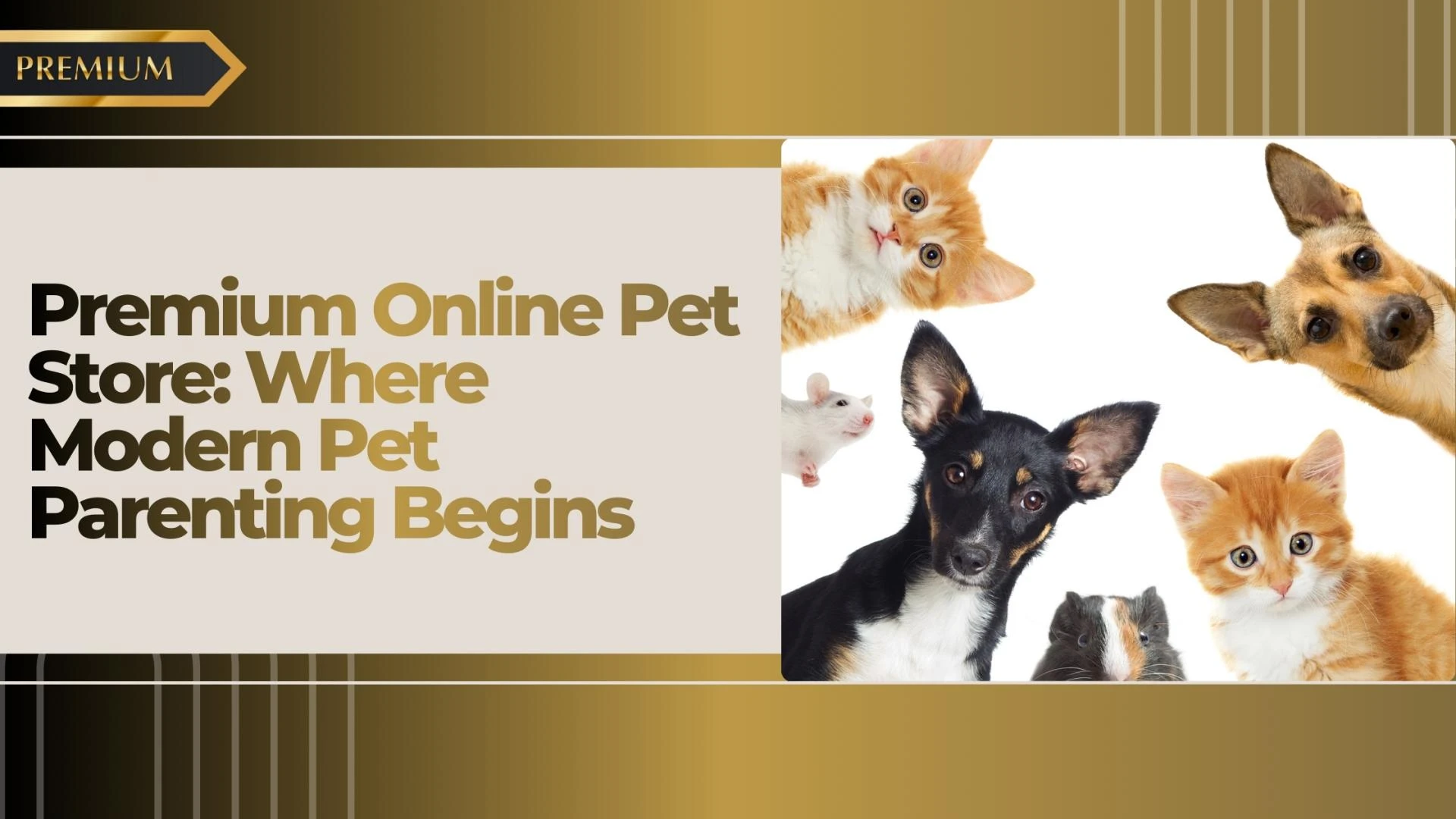 Premium Online Pet Store: Where Modern Pet Parenting Begins