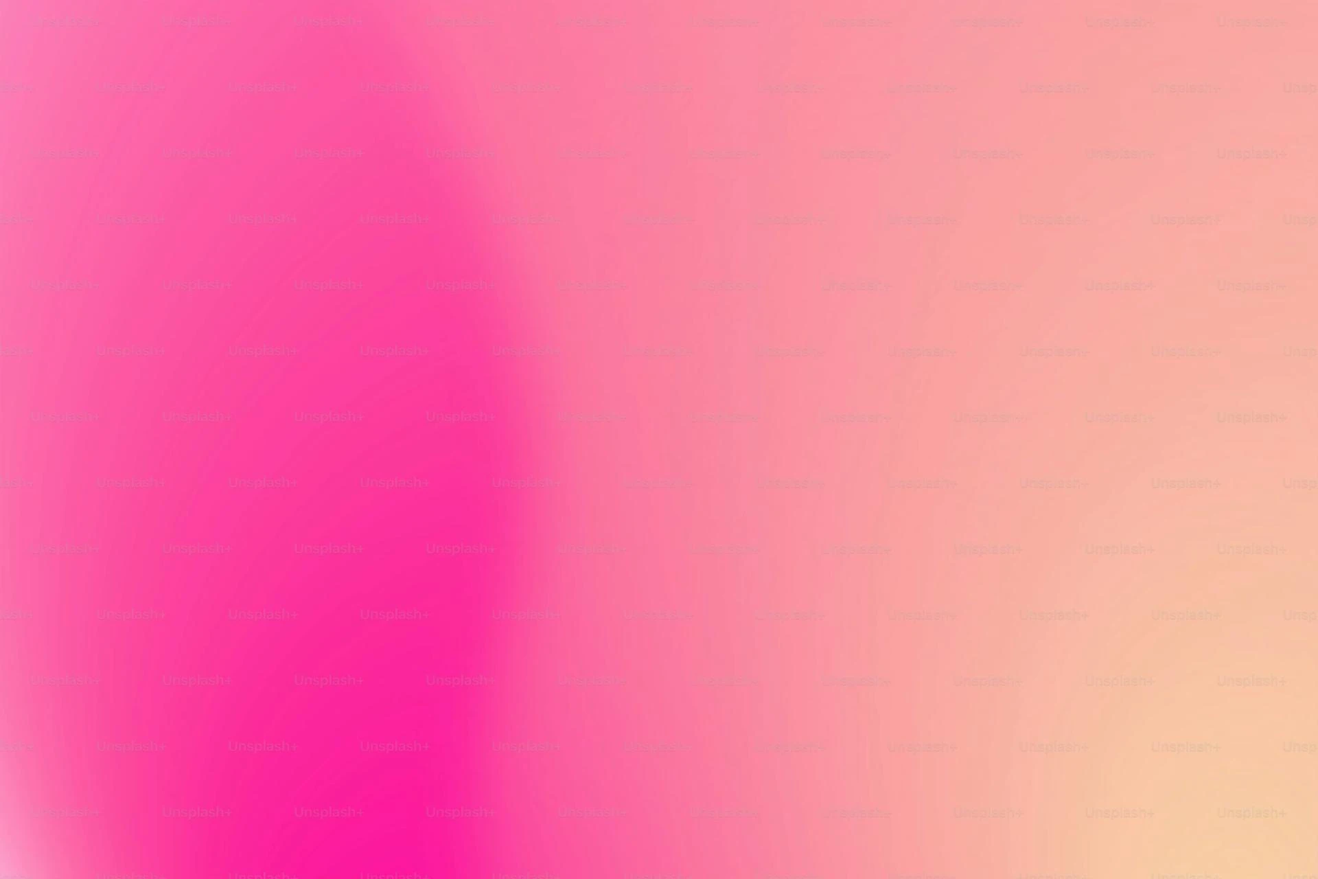 Cheap and Private Escort Services in Lucknow: A Practical Guide