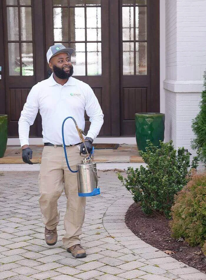 Termite Protection Huntersville: A basic Homeowners Guide to Home safety