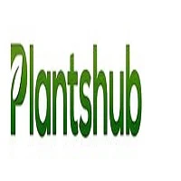 Best Site to Buy Plants Online India – A Complete Guide for Plant Lovers