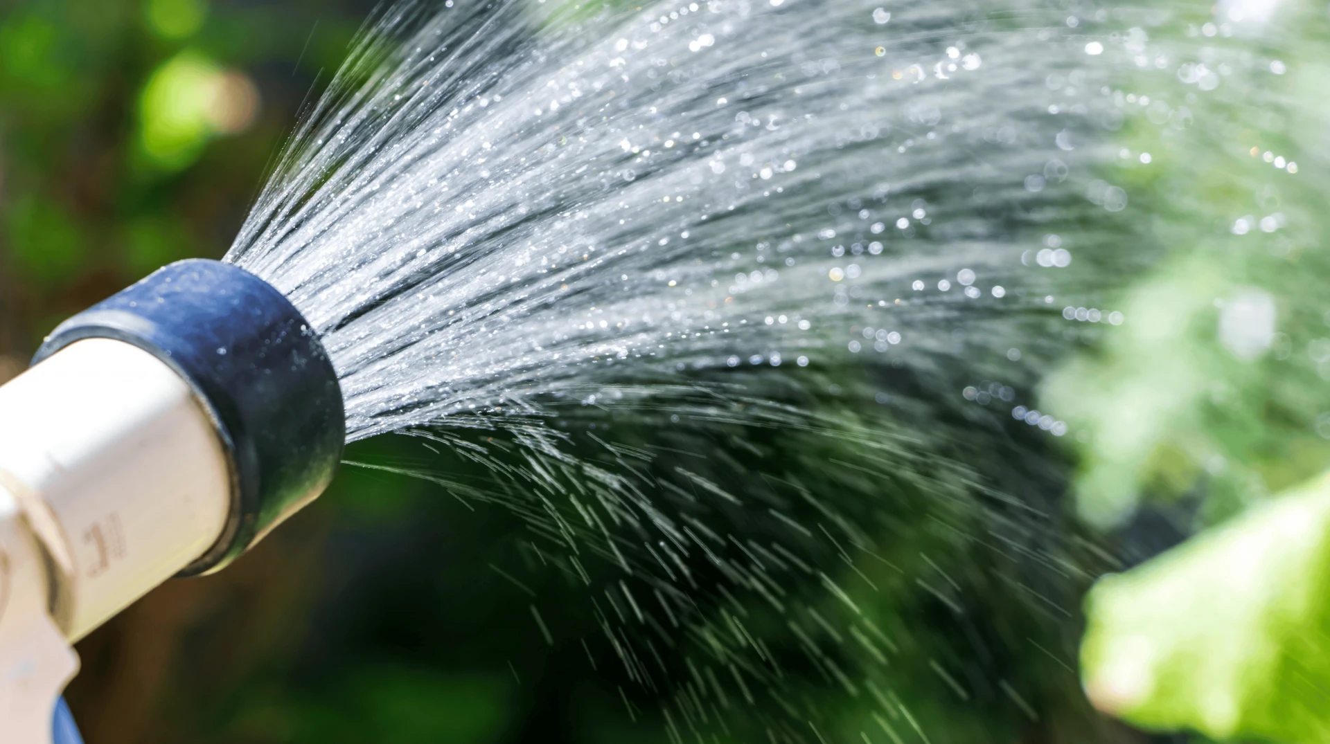 Why EZ Jug Filter Is the Smart Choice for Clean Water at Home
