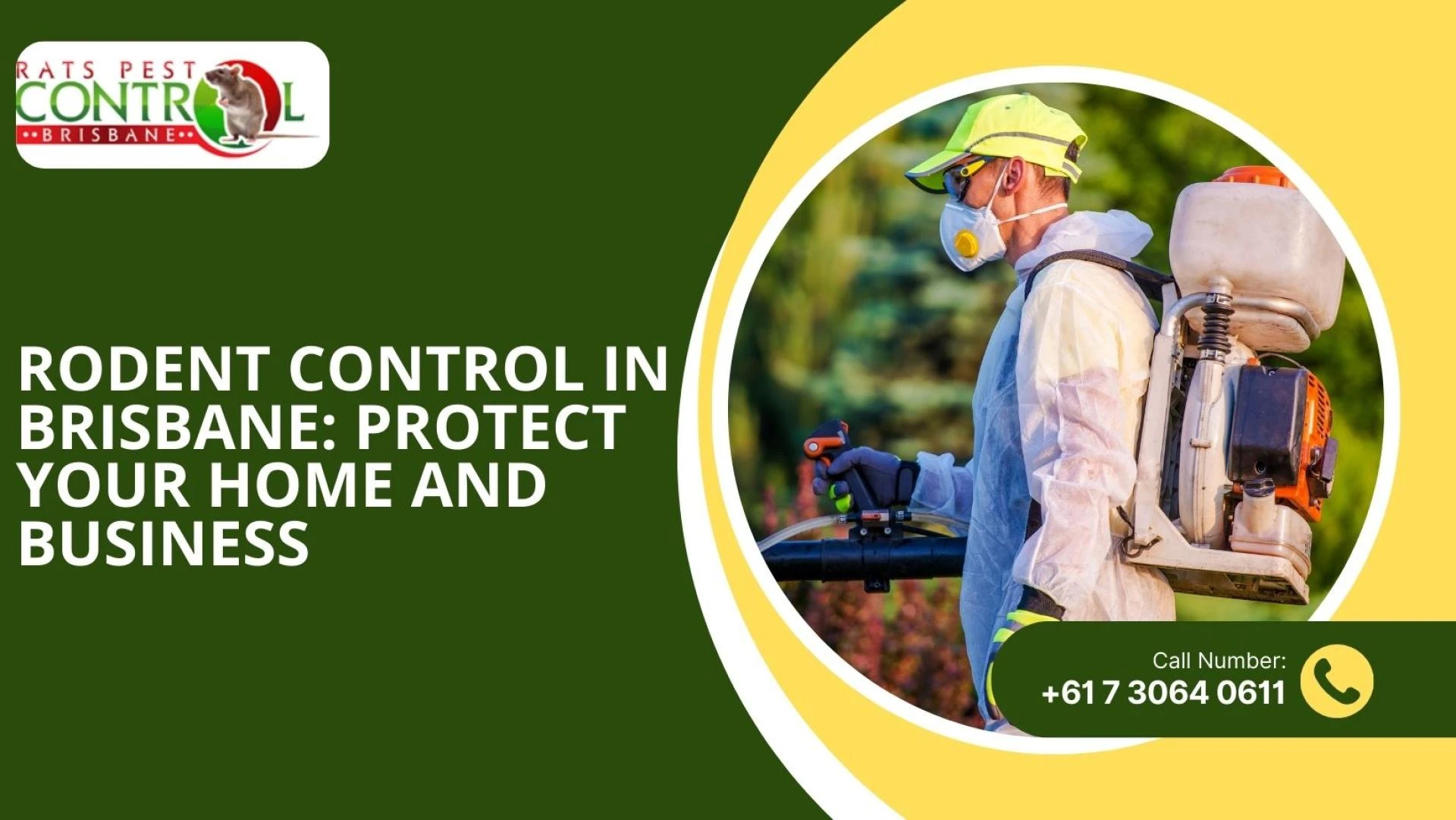 Rodent Control in Brisbane: Protect Your Home and Business