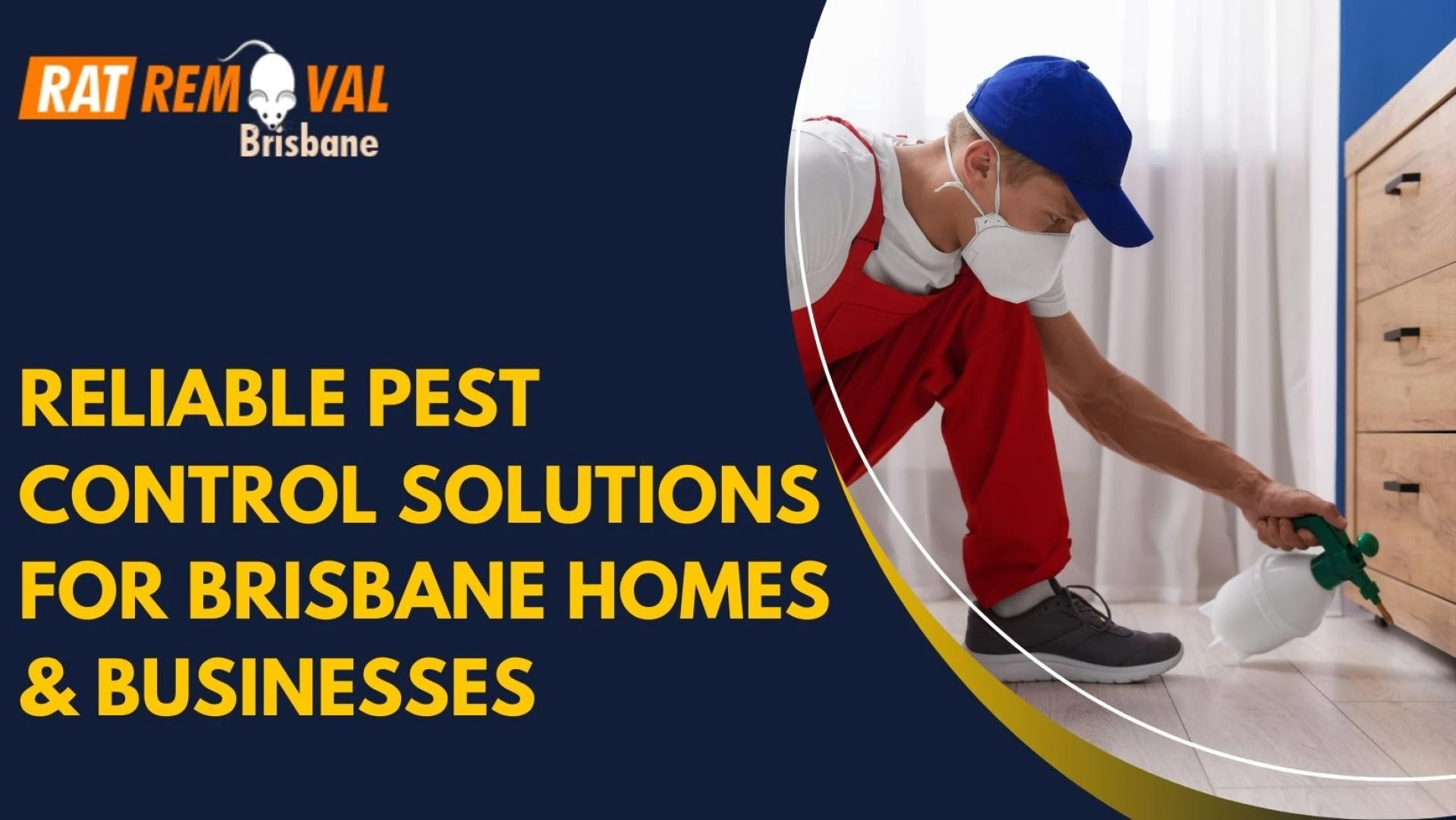 Reliable Pest Control Solutions for Brisbane Homes & Businesses