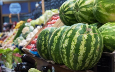 Greek Watermelons Supplied at Wholesale Prices in UK