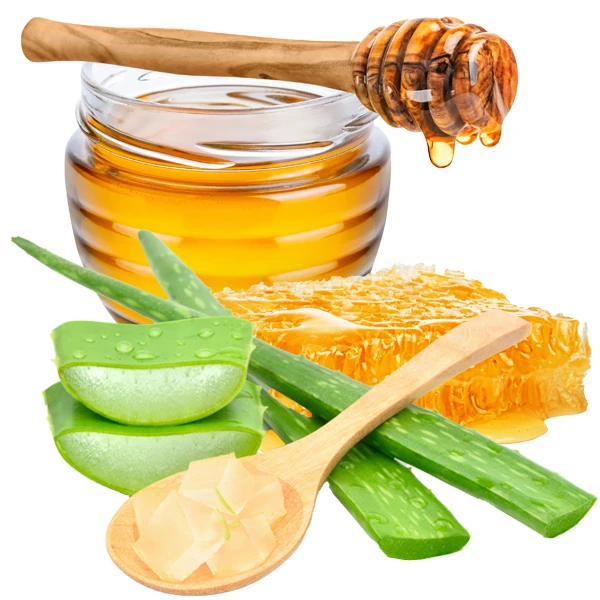 Essential Natural Ingredients That Support Both Gut Health and Lasting Energy