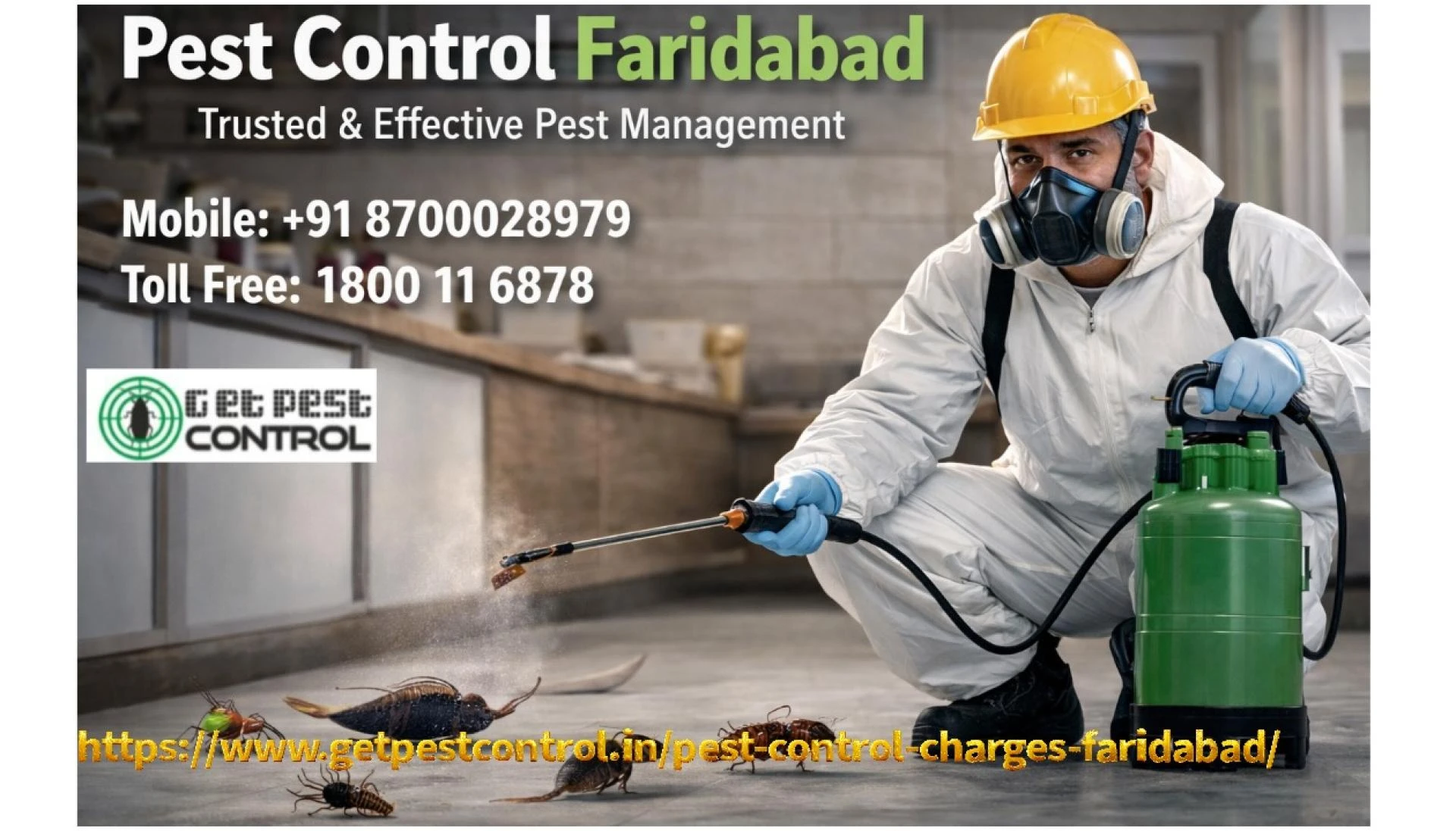 Pest Control Faridabad – Trusted & Effective Pest Management Services