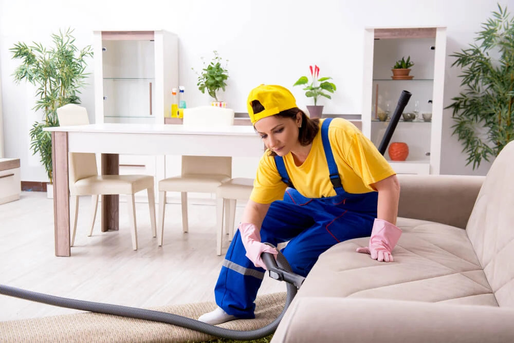 The Ultimate Guide to the Best Sofa Cleaning Services in Chandigarh (2026)