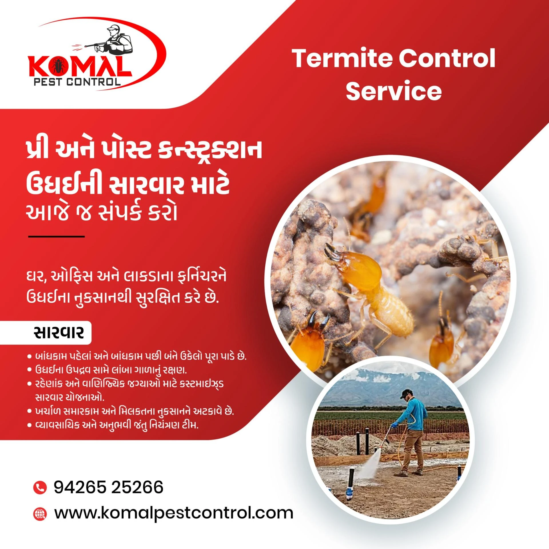 Top Termite Pest Control Service in Ahmedabad, Gujarat