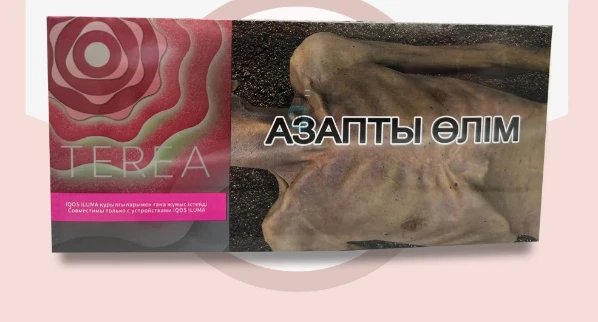 IQOS TEREA Starling Pearl